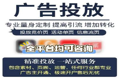 SEM竞价代运营实战技巧与案例